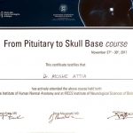 skull base course